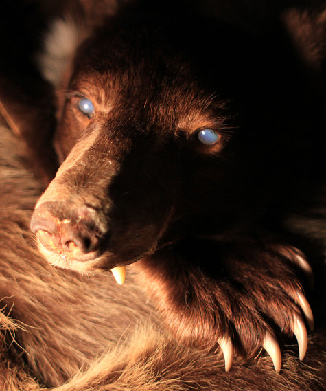 80d51f_05f3c9e8d7d9171c4fcc7966ad21afcd