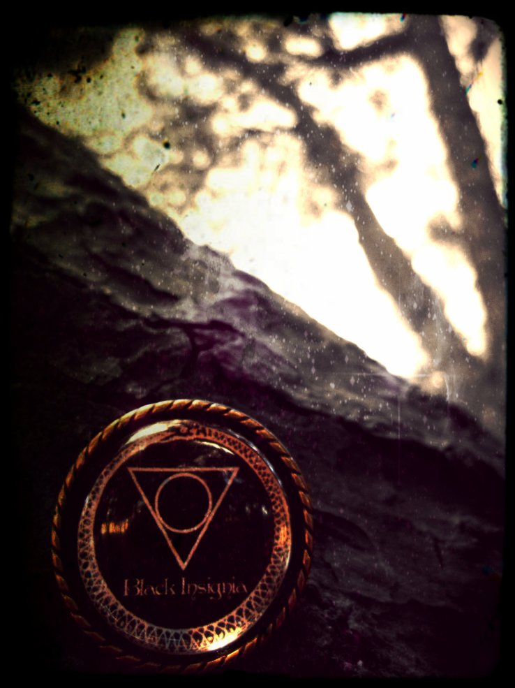 Black Insignia - 9 - Black Insignia Logo  Own