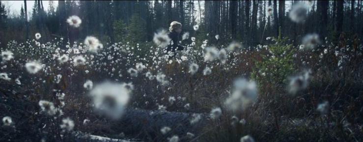 1184982_629559660409965_1060250746_n