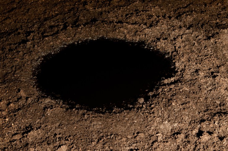 Within The Dolmen 2012