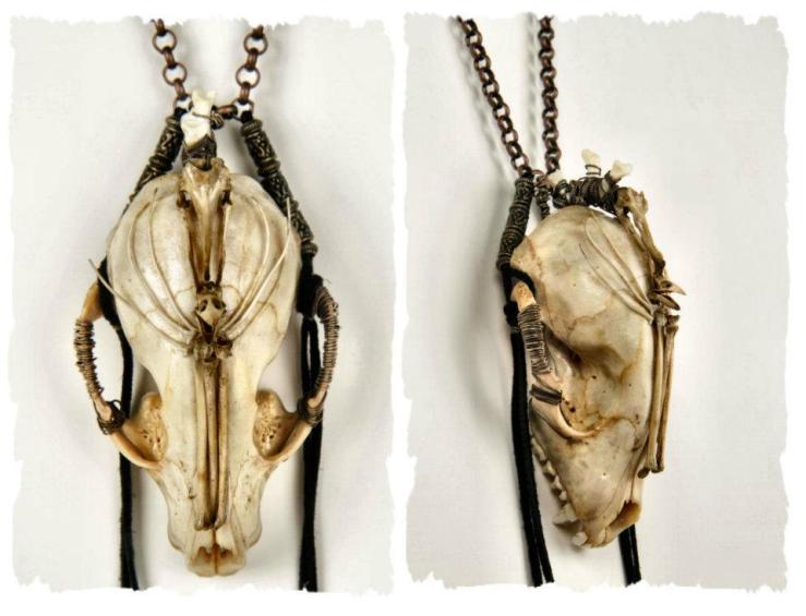 552615_443474302352145_1849291417_n