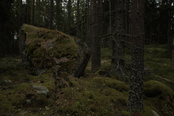 Tod eines Wanderers der pfiff