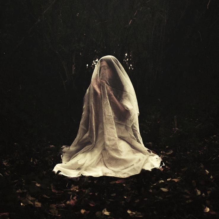 1441377_532289406861073_290007150_n