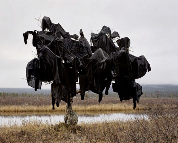 riitta päiväläinen