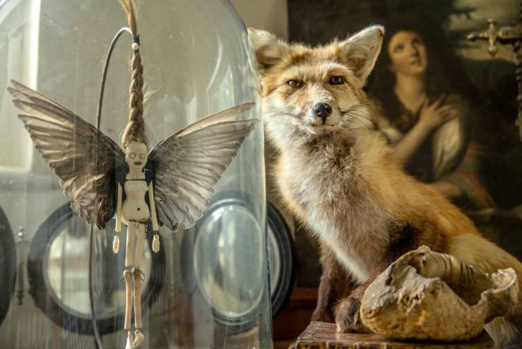 10497096_10152520411190520_752072139863739874_o