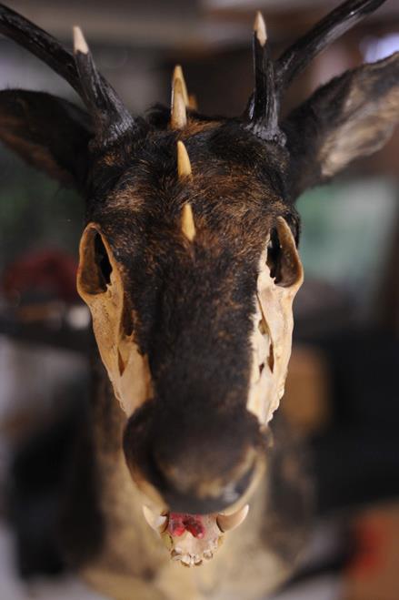 391794_326051217428901_1419066351_n