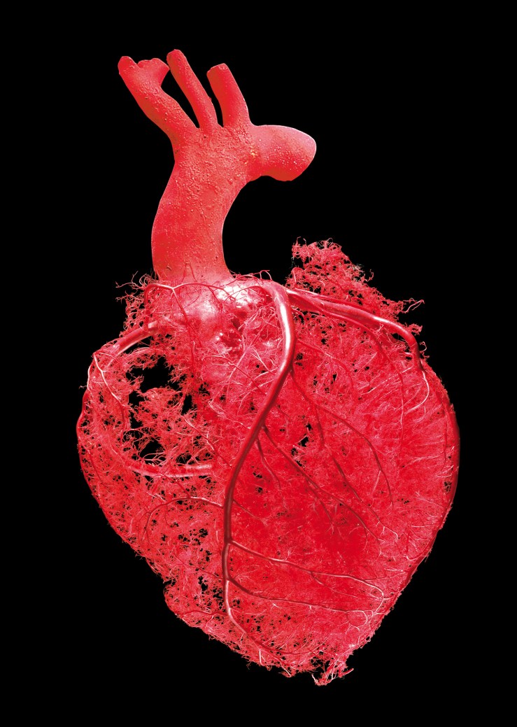 Body Worlds'