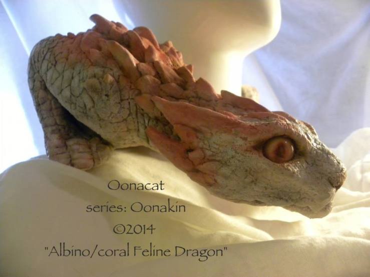 10313594_620935674657814_1150794603843480862_n