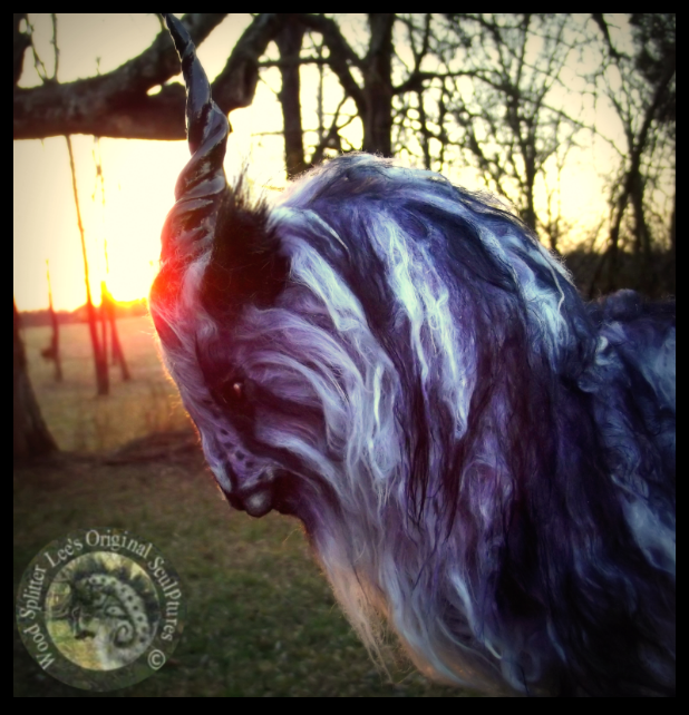 10352404_794039337297032_7239472326825505876_n