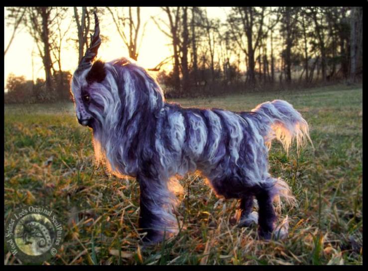 10390198_794039077297058_2748868454522649125_n