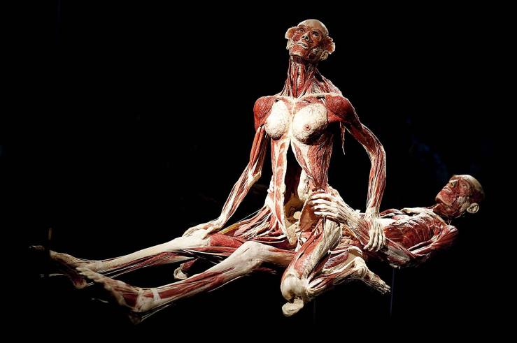 10580964_1530015440547217_5246491678282901441_o