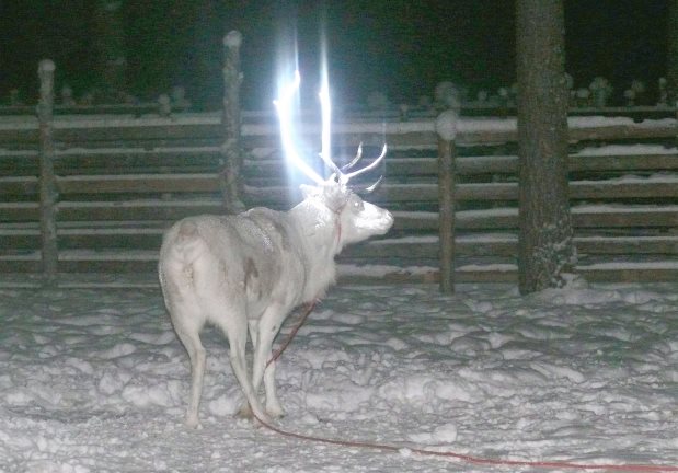 10592696_1535323843349710_8511811578322152115_n