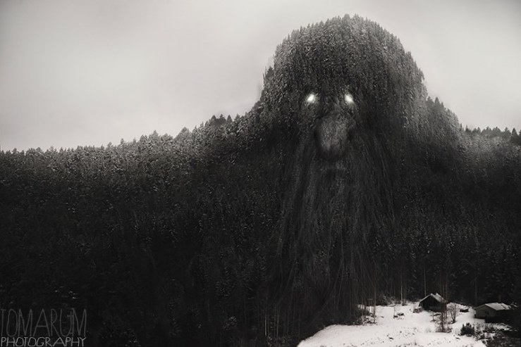 1532065_768565173206492_4219455615089303019_n