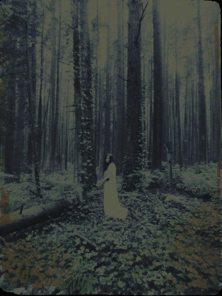 6a6b6844c50a7eb8f9376bb66dcd08df