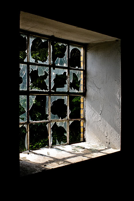broken_window