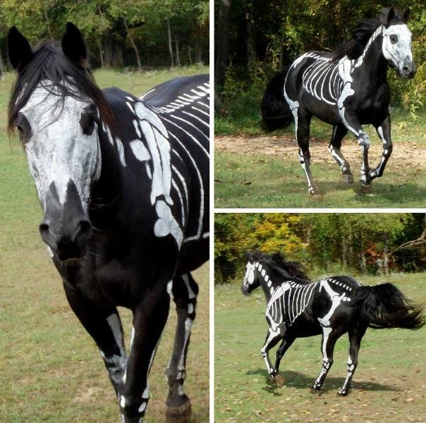 d38977256a7e31feb9da9d7a83650e1a