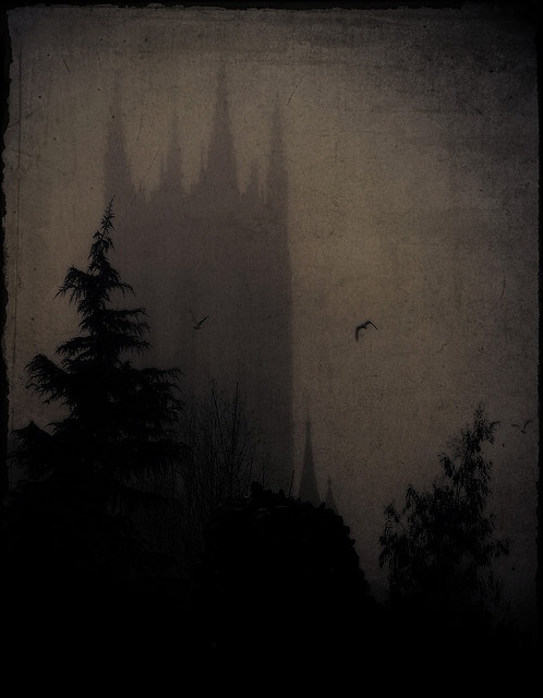 eeff0036304b09b52c5bd0549b065a66