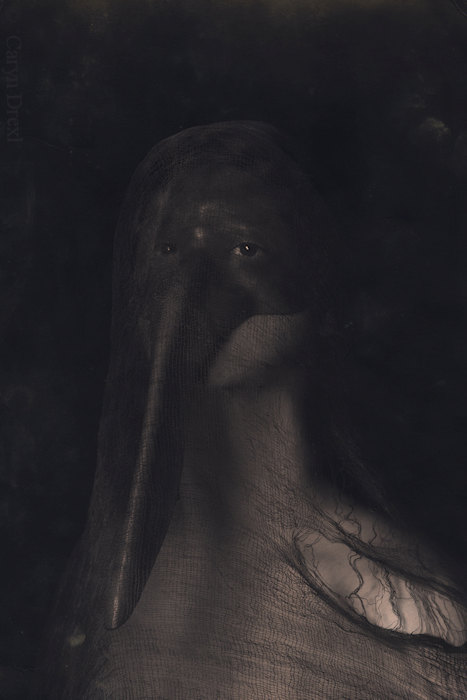 il_570xN.366407619_ewfg