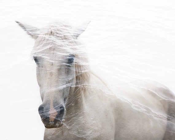 il_570xN.551700954_5k82