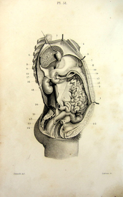 il_570xN.646617735_kbrk