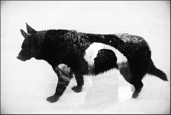 il_570xN.650766282_tgzv