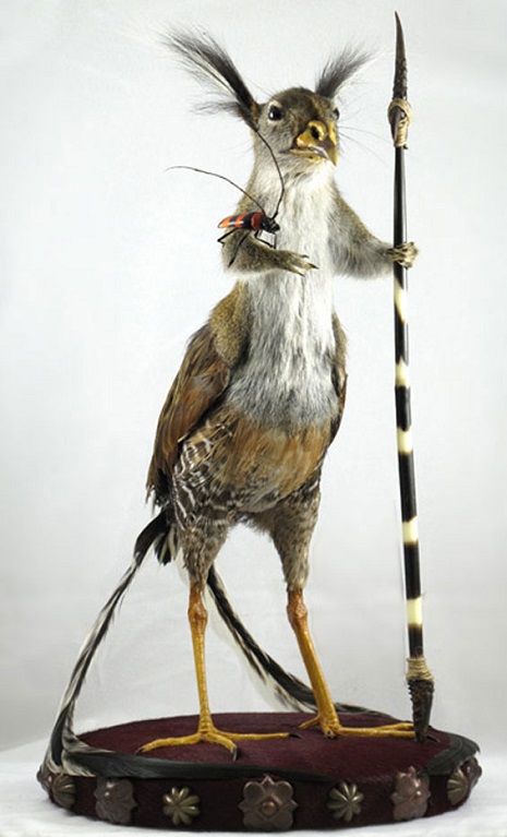 taxidermy6mflmas