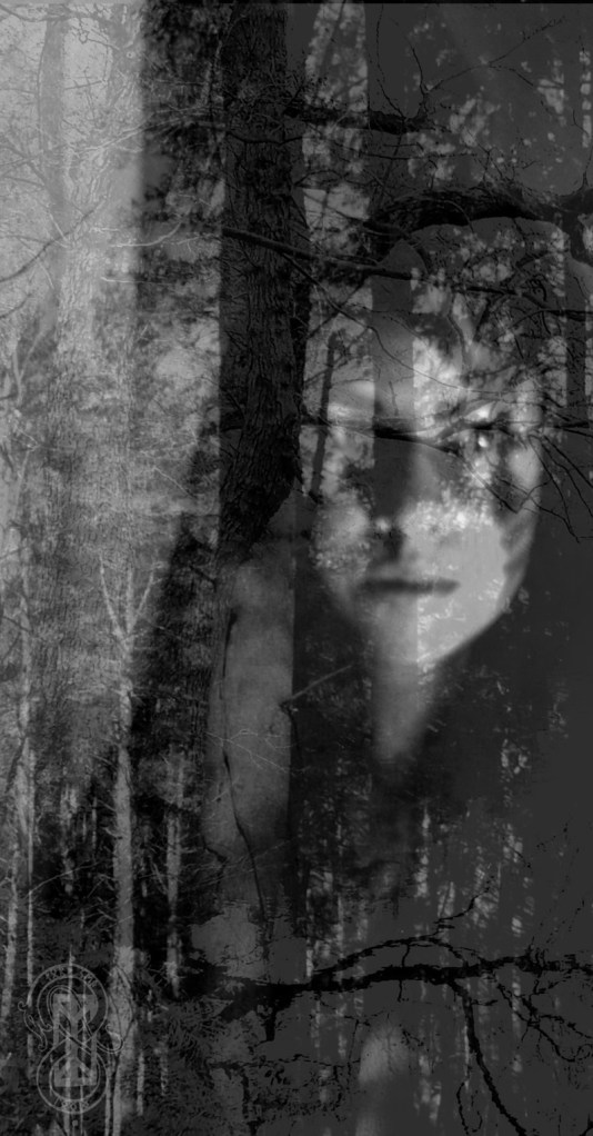 Tumblr Choice - North Sea Longing. 