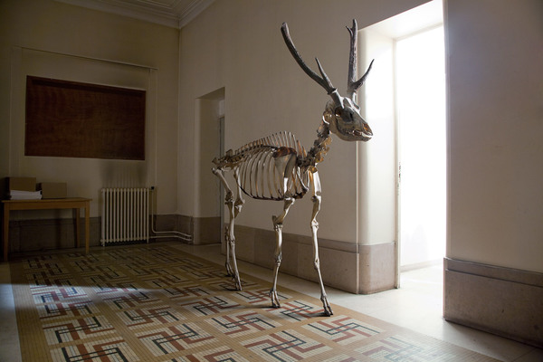 f57b99dd23ce5282c923520be24507c7