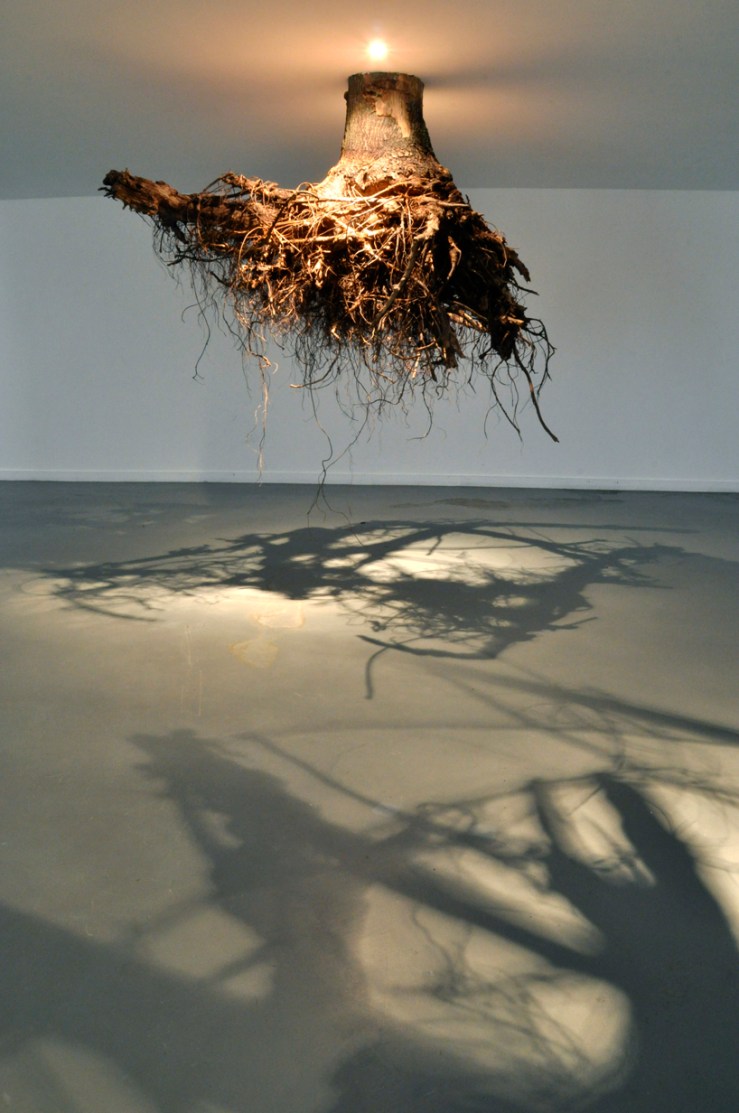 img_8_1359387250_a0cb5e151ba07b41161bad72258ba367