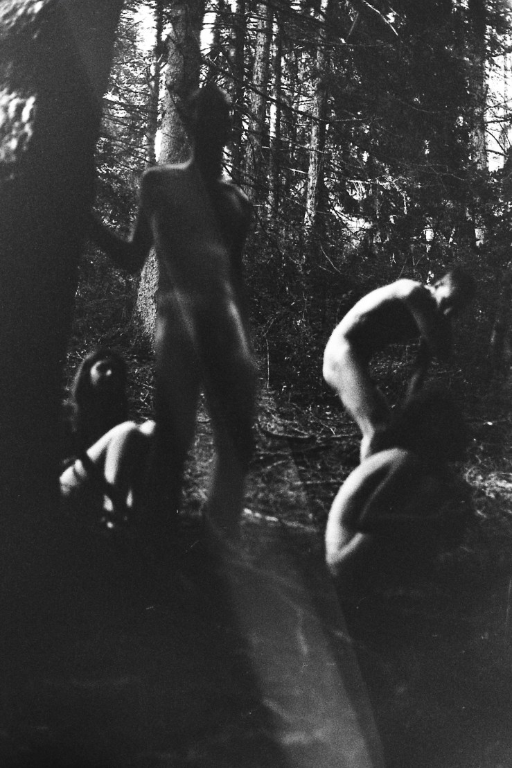 My beautiful picture