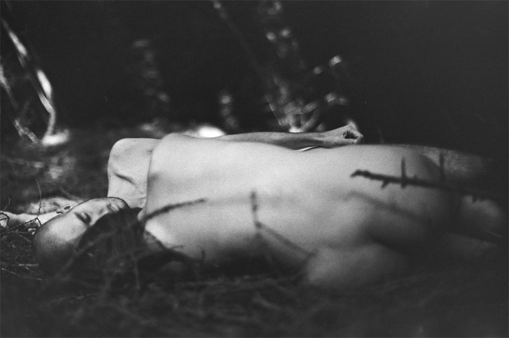 My beautiful picture