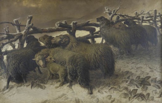 moutons-dans-la-neige-le-plessis-trevise