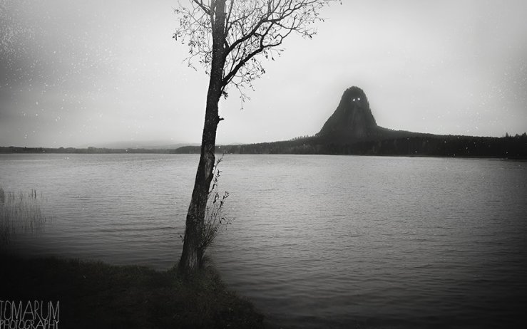 10712706_789629404433402_7573149661105208545_n