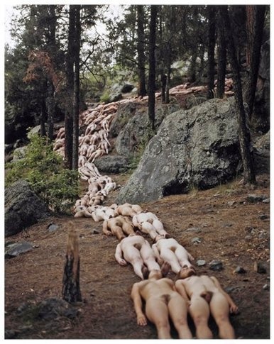 5f0d47cc6dc8ddeb483cf1e6ab03b3e7