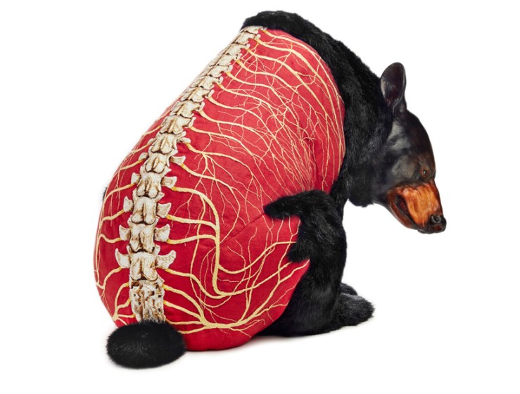 deborah-simon-bears-designboom-01