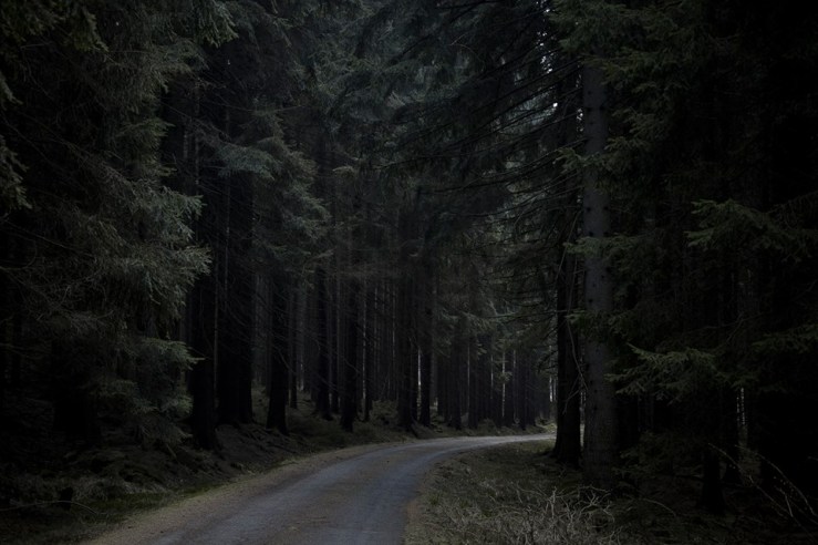 10001370_548677885247464_897229128990958436_n