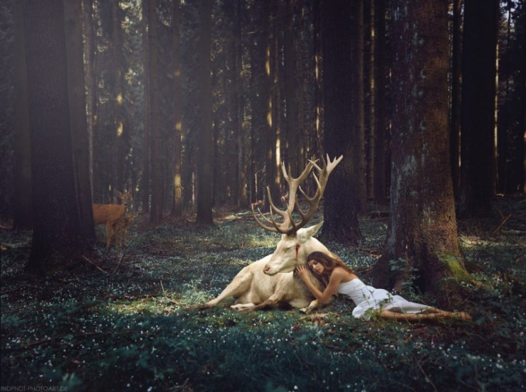 13916838782_158096e16f_b-800x598