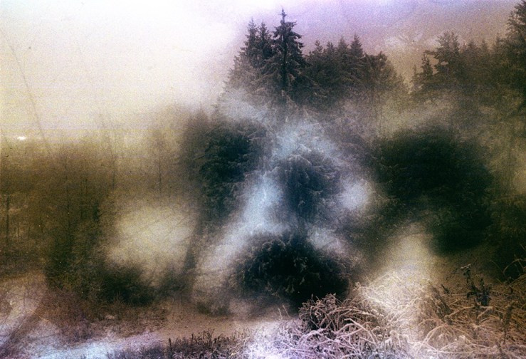 1489212_914345751918673_2703396317843846771_n