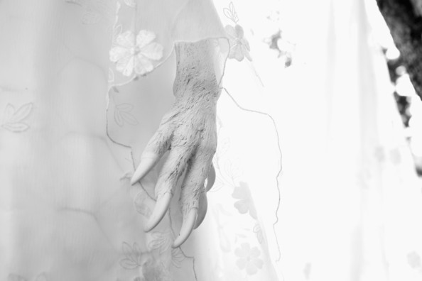 Historic+Rookwood+Cemetery+Holds+Annual+Sculpture+NtBomajg61ml