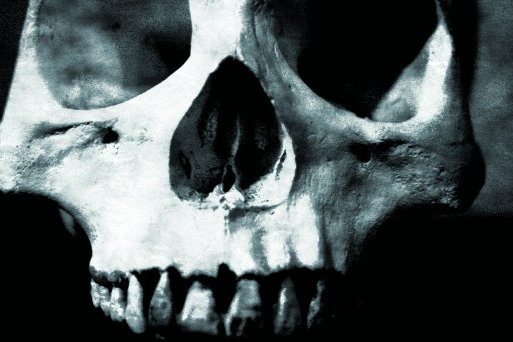 Skull1.jpg