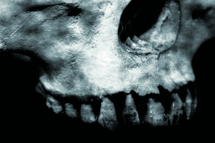 Skull2.jpg