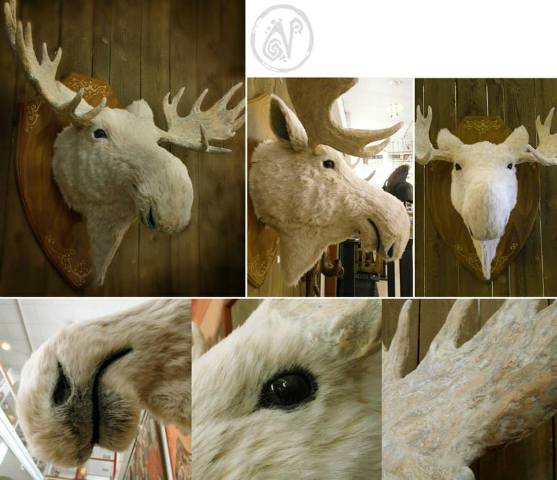 1239798_312545935553279_1005886833_n