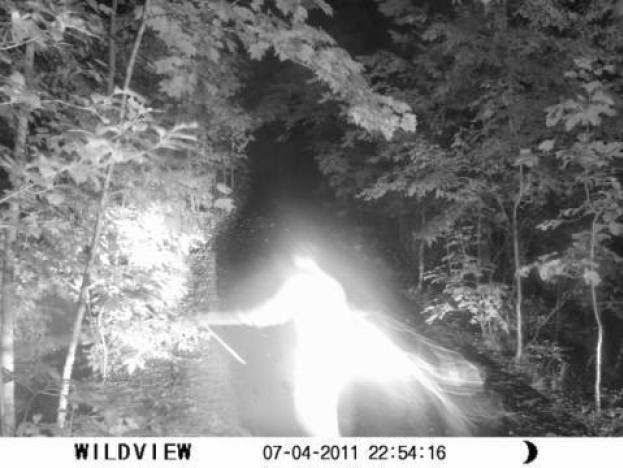Strange-Figure-on-Wildlife-Camera_reference(1)