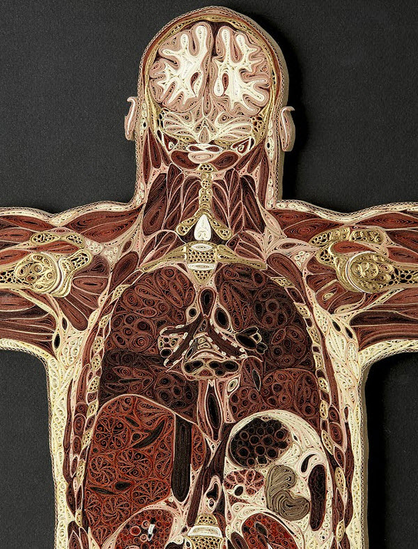 A-detail-of-Coronal-Man-showing-the-head-and-thorax