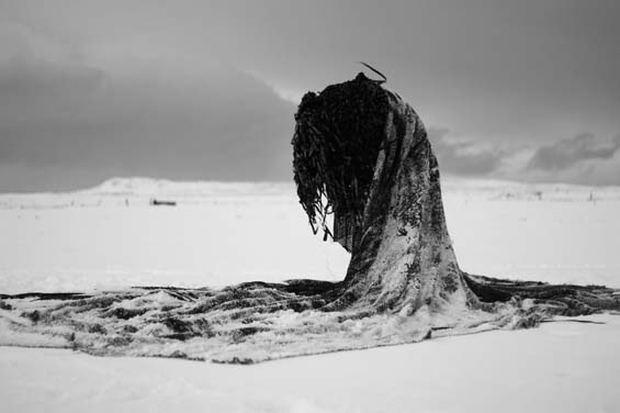 IMG_1795dark-drop-awekening