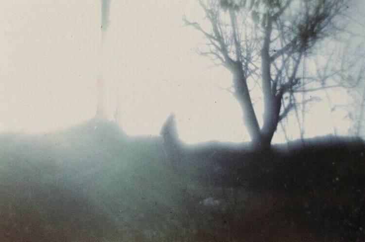 10923229_794282407287920_7171256087664934335_n