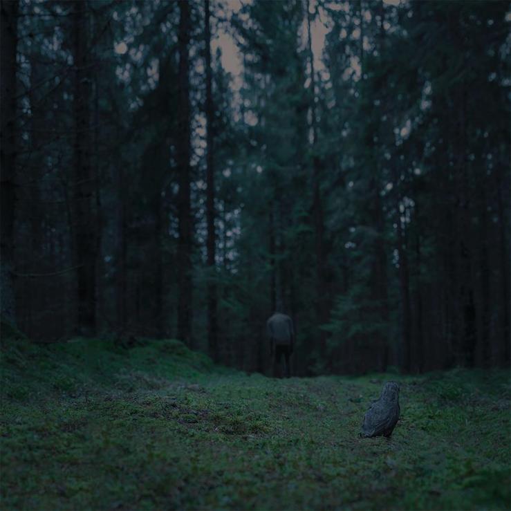 11009954_1653549688214446_9222123320314731701_n