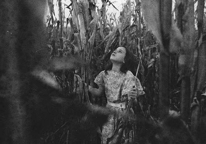 colette-saint-yves-06