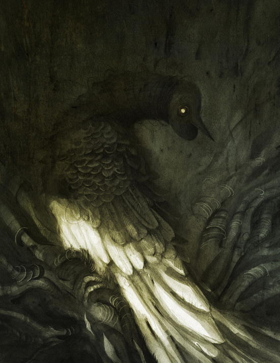 14382501_14049459_pm