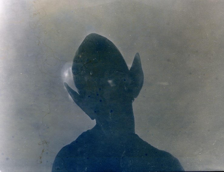 tumblr_nlvr2e2FfI1qas0b9o1_1280